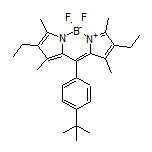 10-[4-(tert-Butyl)phenyl]-2,8-diethyl-5,5-difluoro-1,3,7,9-tetramethyl-5H-dipyrrolo[1,2-c:2’,1’-f][1,3,2]diazaborinin-4-ium-5-uide