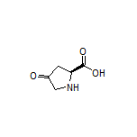 4-Oxo-L-proline