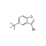 3-Bromo-5-(tert-butyl)benzofuran