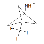 N-Methyl-3-(trifluoromethyl)bicyclo[1.1.1]pentan-1-amine Hydrochloride