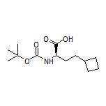 (R)-2-(Boc-amino)-4-cyclobutylbutanoic Acid