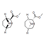 Methyl exo-8-Azabicyclo[3.2.1]octane-2-carboxylate