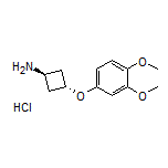 trans-3-(3,4-Dimethoxyphenoxy)cyclobutanamine Hydrochloride