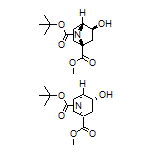 Methyl exo-7-Boc-3-hydroxy-7-azabicyclo[2.2.1]heptane-1-carboxylate