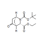 Ethyl (1S,3S,4S)-2-Boc-5-oxo-2-azabicyclo[2.2.2]octane-3-carboxylate