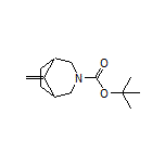 3-Boc-8-methylene-3-azabicyclo[3.2.1]octane