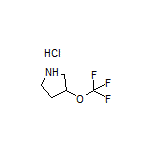 3-(Trifluoromethoxy)pyrrolidine Hydrochloride