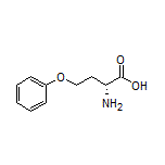 O-Phenyl-D-homoserine