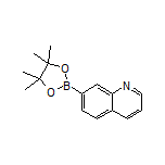 Quinoline-7-boronic Acid Pinacol Ester