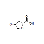 4-Oxotetrahydrofuran-2-carboxylic Acid