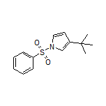 3-(tert-Butyl)-1-(phenylsulfonyl)pyrrole