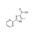 5-Methyl-2-(2-pyrimidinyl)-1H-imidazole-4-carboxylic Acid