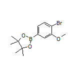 4-Bromo-3-methoxyphenylboronic Acid Pinacol Ester