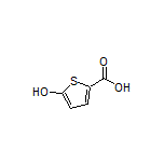 5-Hydroxythiophene-2-carboxylic Acid