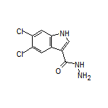 5,6-Dichloroindole-3-carbohydrazide