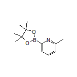 6-Methylpyridine-2-boronic Acid Pinacol Ester