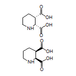 cis-Piperidine-2,3-dicarboxylic Acid