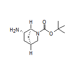 (1S,4S,6S)-2-Boc-2-azabicyclo[2.2.1]heptan-6-amine