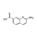 2-Aminoquinoline-7-carboxylic Acid