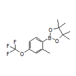 2-Methyl-4-(trifluoromethoxy)phenylboronic Acid Pinacol Ester