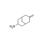 7-Methylenebicyclo[3.3.1]nonan-3-amine