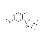 2-Methoxy-5-methylpyridine-4-boronic Acid Pinacol Ester