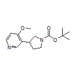 3-(1-Boc-3-pyrrolidinyl)-4-methoxypyridine