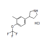 3-[3-Methyl-4-(trifluoromethoxy)phenyl]pyrrolidine Hydrochloride