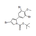 4-Bromo-1-Boc-2-(3,5-dibromo-4-methoxyphenyl)-1H-pyrrole