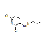 3-[2-(Butan-2-ylidene)hydrazinyl]-2,6-dichloropyridine