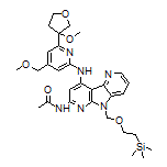 N-[9-[[4-(Methoxymethyl)-6-(3-methoxy-3-tetrahydrofuryl)-2-pyridyl]amino]-5-[[2-(trimethylsilyl)ethoxy]methyl]-5H-pyrrolo[2,3-b:4,5-b’]dipyridin-7-yl]acetamide