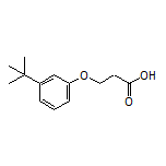 3-[3-(tert-Butyl)phenoxy]propanoic Acid