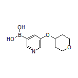 5-[(Tetrahydro-2H-pyran-4-yl)oxy]pyridine-3-boronic Acid