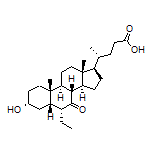 3α-Hydroxy-6-ethyl-7-keto-5β-cholan-24-oic Acid