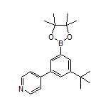 3-(tert-Butyl)-5-(4-pyridyl)phenylboronic Acid Pinacol Ester