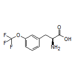 (S)-2-Amino-3-[3-(trifluoromethoxy)phenyl]propanoic Acid