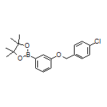 3-[(4-Chlorobenzyl)oxy]phenylboronic Acid Pinacol Ester