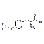 4-(Trifluoromethoxy)-L-phenylalanine