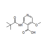 3-Methoxy-5-pivalamidoisonicotinic Acid