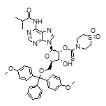 O-[(2R,3R,4R,5R)-5-[[Bis(4-methoxyphenyl)(phenyl)methoxy]methyl]-4-hydroxy-2-(6-isobutyramido-9H-purin-9-yl)tetrahydrofuran-3-yl] Thiomorpholine-4-carbothioate 1,1-Dioxide