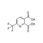 6-(Trifluoromethyl)pyridine-2,3-dicarboxylic Acid