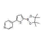 5-(4-Pyridyl)thiophene-2-boronic Acid Pinacol Ester