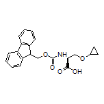 N-Fmoc-O-cyclopropyl-L-serine