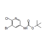 5-Bromo-6-chloro-N-Boc-pyridin-3-amine