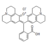 Rhodamine 101 Chloride