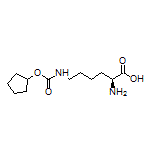 (S)-2-Amino-6-[[(cyclopentyloxy)carbonyl]amino]hexanoic Acid