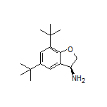 (S)-3-Amino-5,7-di-tert-butyl-2,3-dihydrobenzofuran