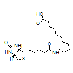 11-[5-[(3aS,4S,6aR)-2-Oxohexahydro-1H-thieno[3,4-d]imidazol-4-yl]pentanamido]undecanoic Acid