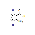 (1R,2R,3S,4S)-3-Aminobicyclo[2.2.1]heptane-2-carboxylic Acid