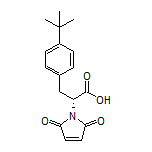 (R)-3-[4-(tert-Butyl)phenyl]-2-(2,5-dioxo-2,5-dihydro-1-pyrrolyl)propanoic Acid
